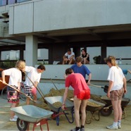 IMG_0011.JPG
